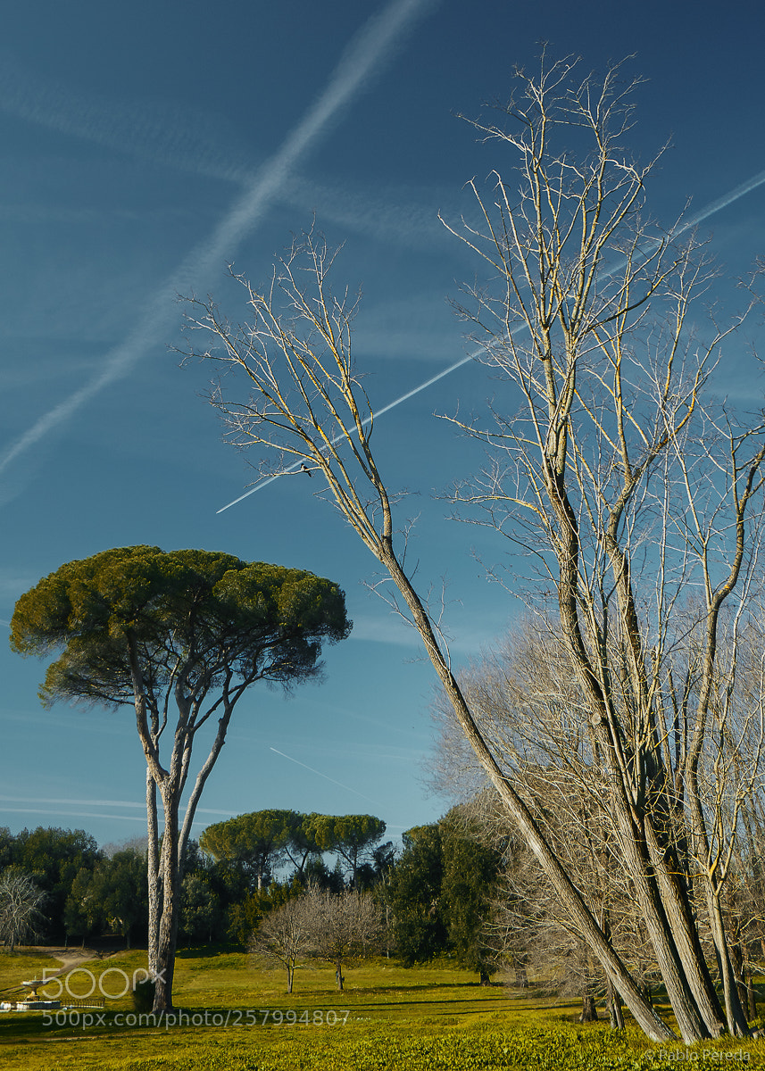 Sony a5100 sample photo. Crossing lines photography