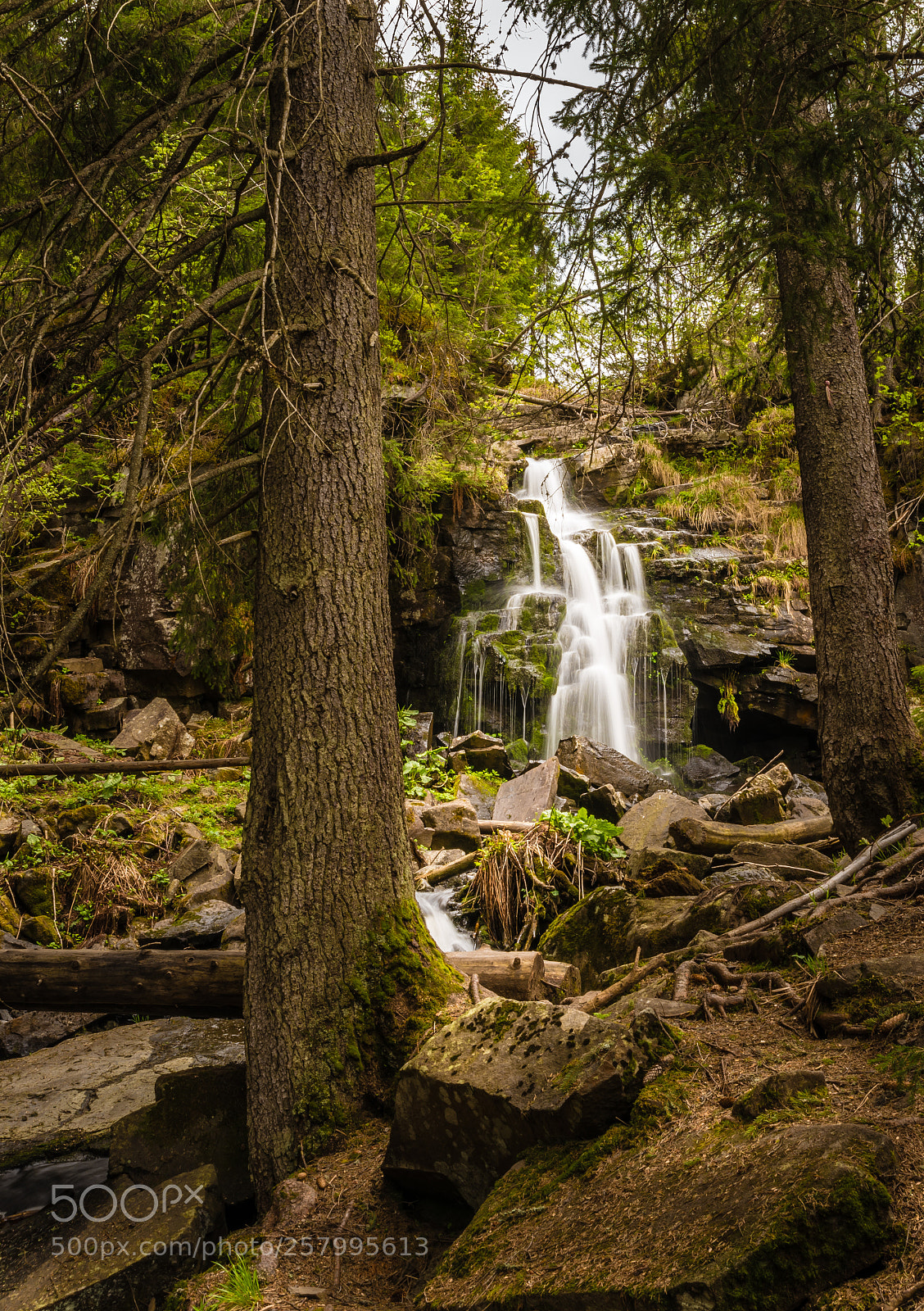 Nikon D750 sample photo. Origin photography