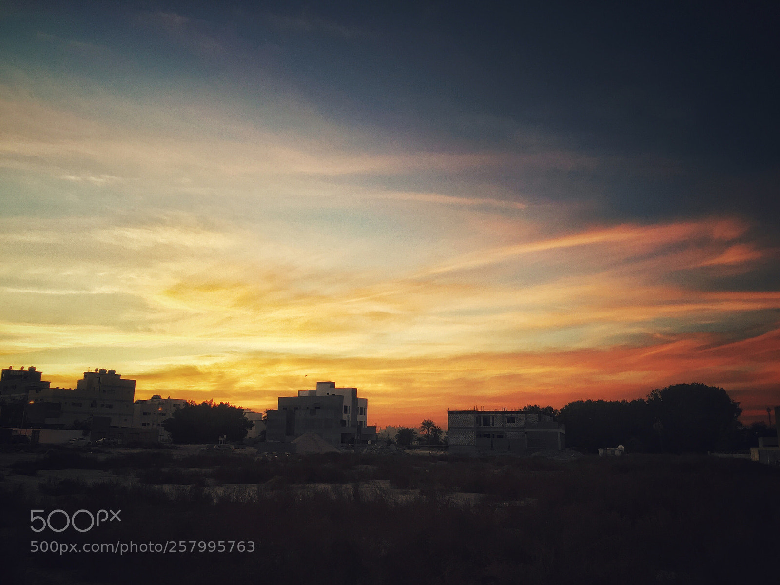 Apple iPhone 6 sample photo. Golden hour  photography