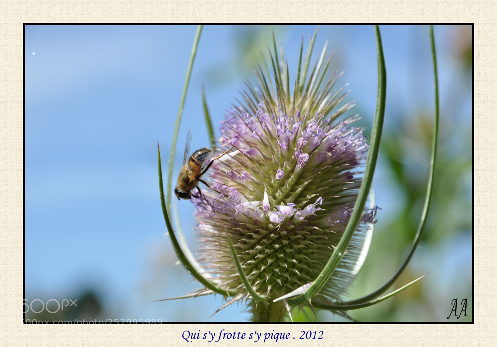 Nikon D90 sample photo. Qui s'y frotte s'y photography
