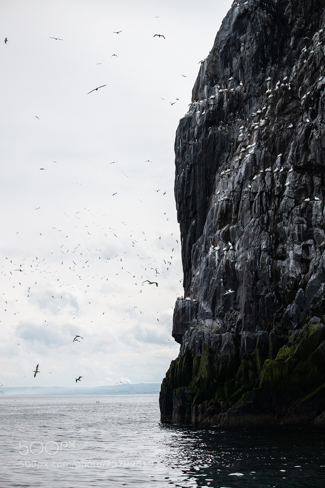 Canon EOS 70D sample photo. Crowded skies photography