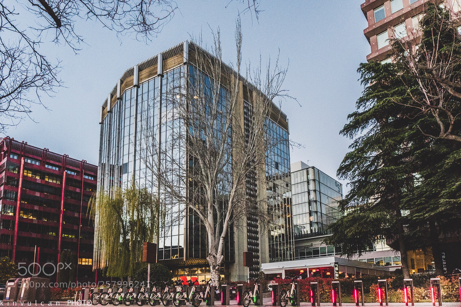 Sony a6300 sample photo. Paseo de la castellana photography