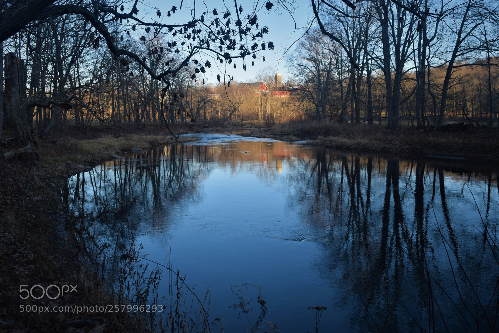 Nikon D3300 sample photo. Reflection photography