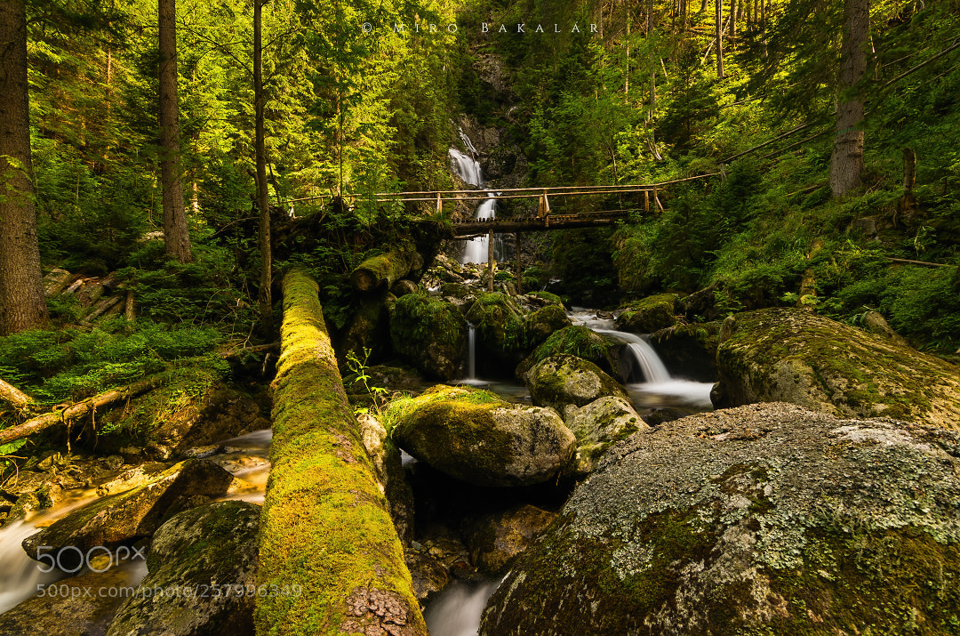 Nikon D7000 sample photo. (waterfall) photography