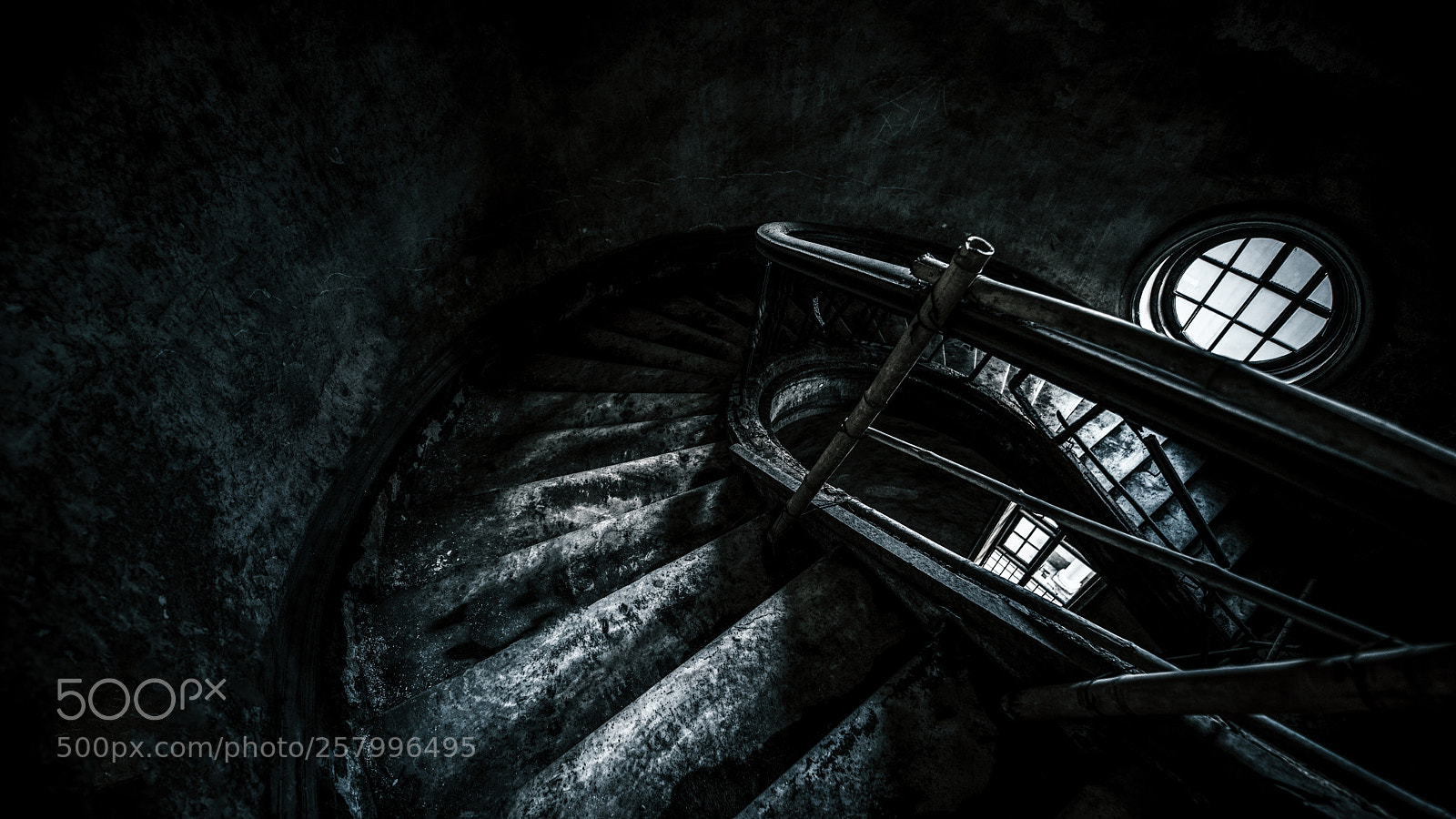 Nikon D810 sample photo. Untitled photography