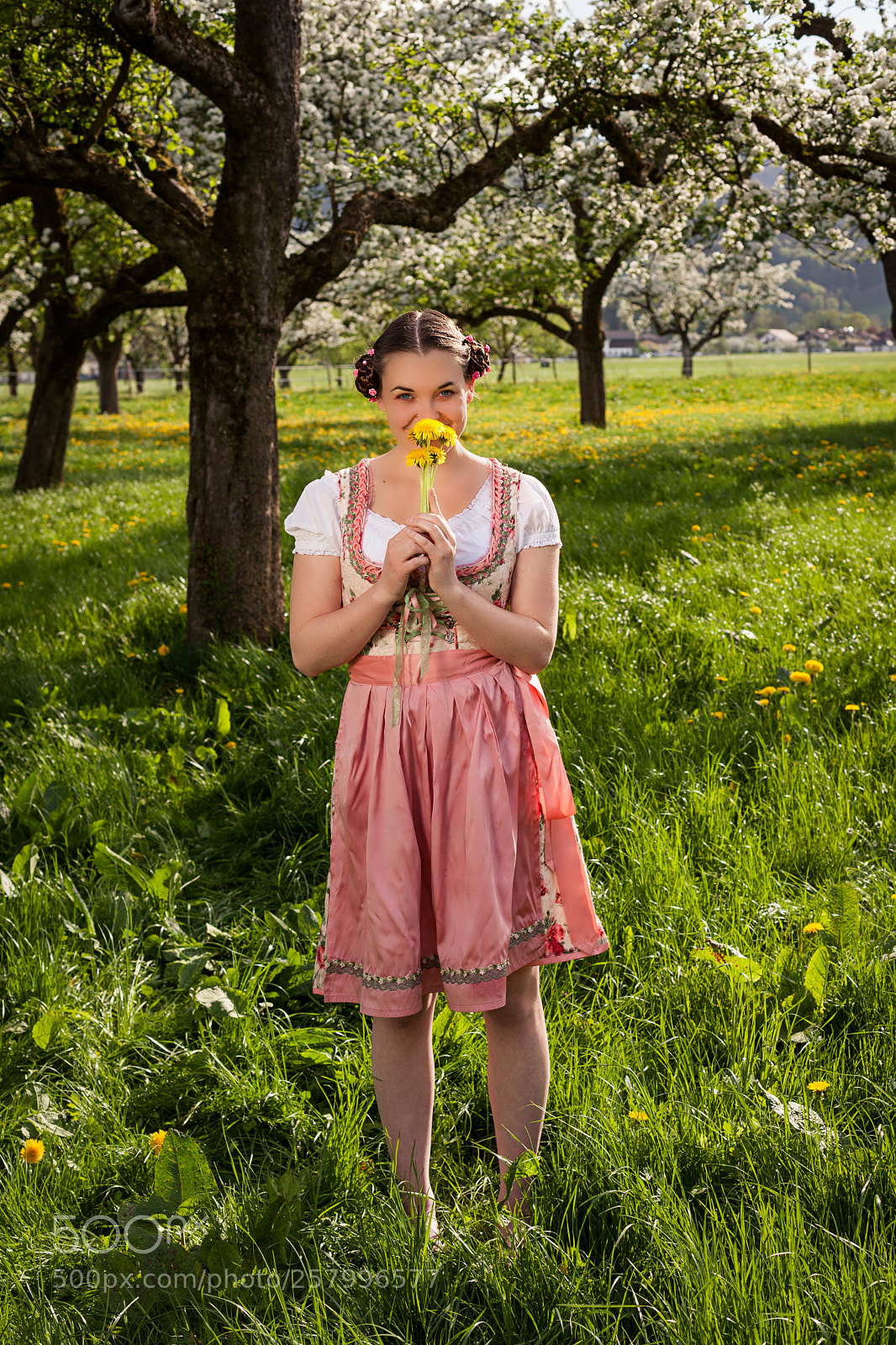 Canon EOS 5D Mark II sample photo. The scent of dandelions photography