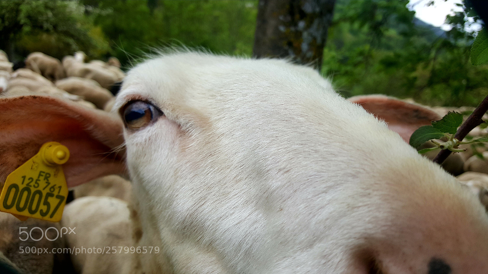 Samsung GALAXY S6 edge sample photo. Untitled photography