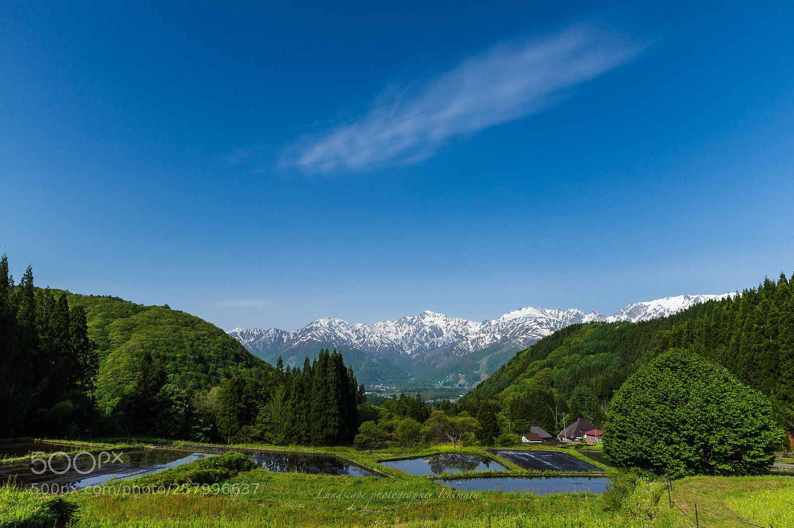 Nikon D3S sample photo. Spring of hakuba-mura photography