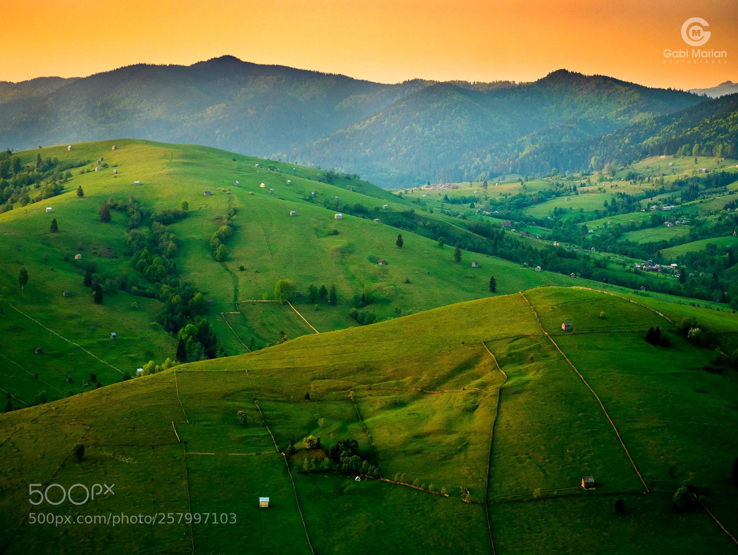 Panasonic Lumix DMC-GX85 (Lumix DMC-GX80 / Lumix DMC-GX7 Mark II) sample photo. Spring pastel in bucovina photography