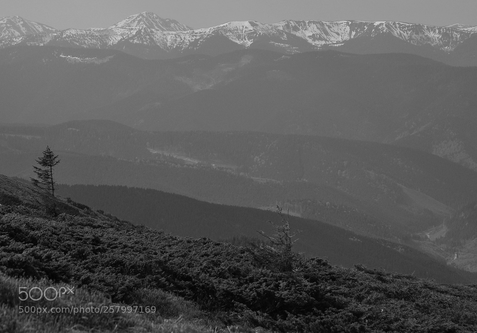 Nikon D90 sample photo. Just carpathian photography
