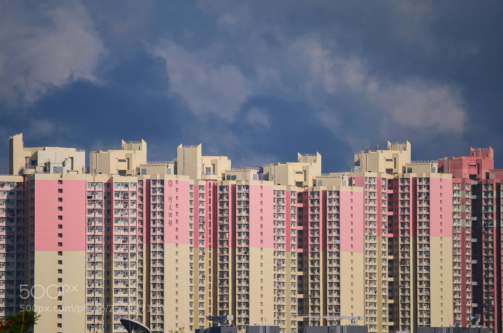 Nikon D5100 sample photo. The color series #1 photography