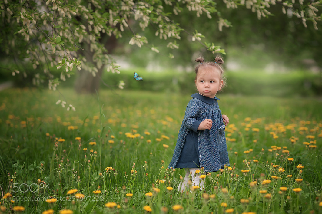 Nikon D700 sample photo. Girl photography