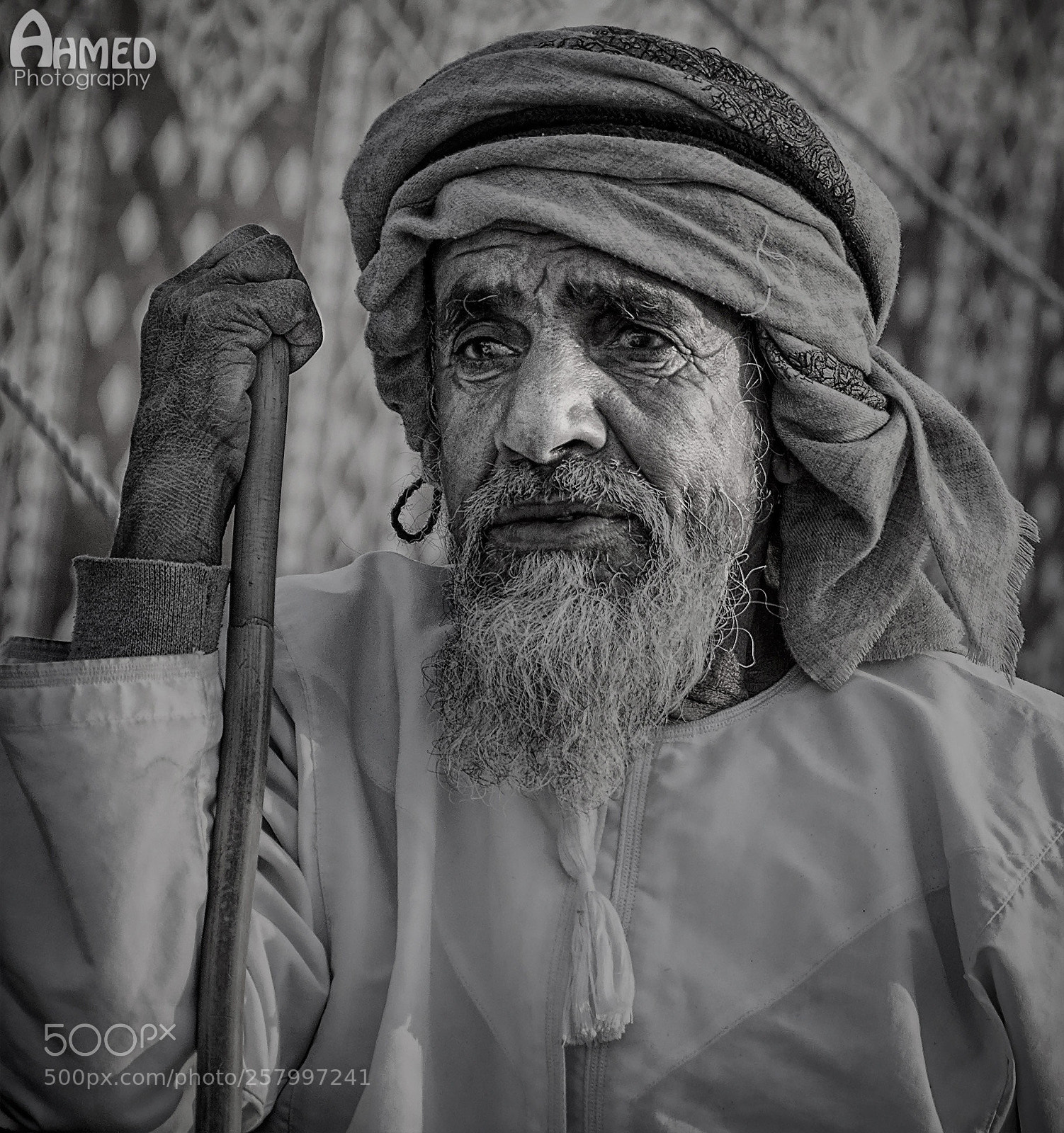 Nikon D7100 sample photo. Untitled photography