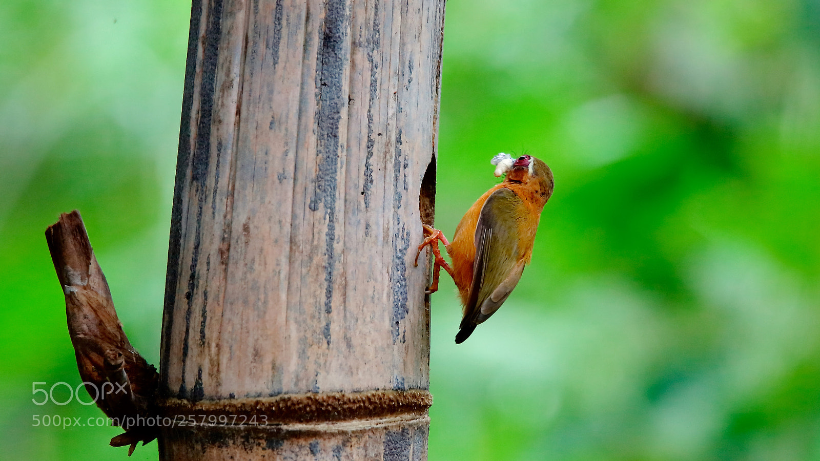 Canon EOS 5DS sample photo. Untitled photography