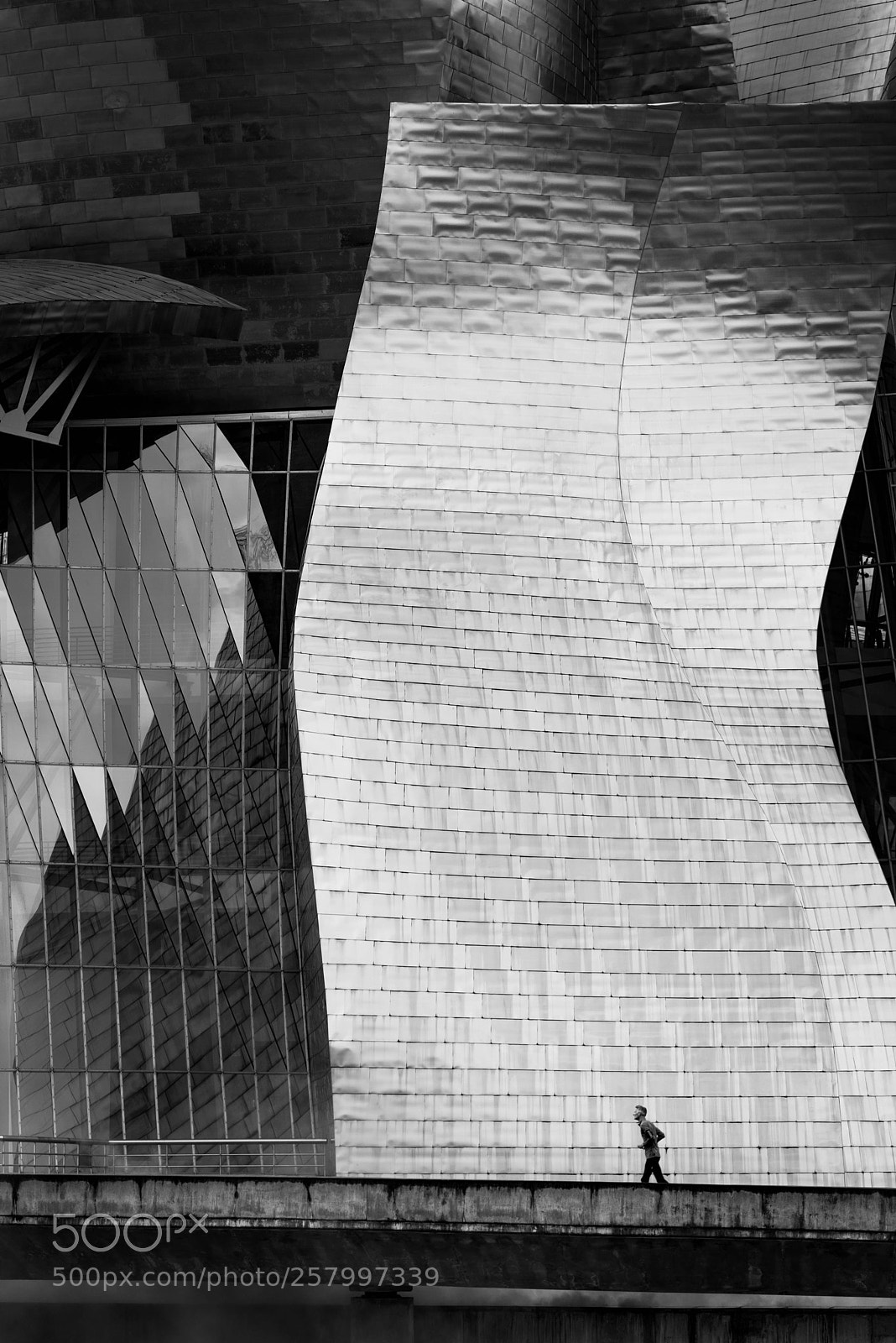 Nikon D810 sample photo. Guggenheim photography