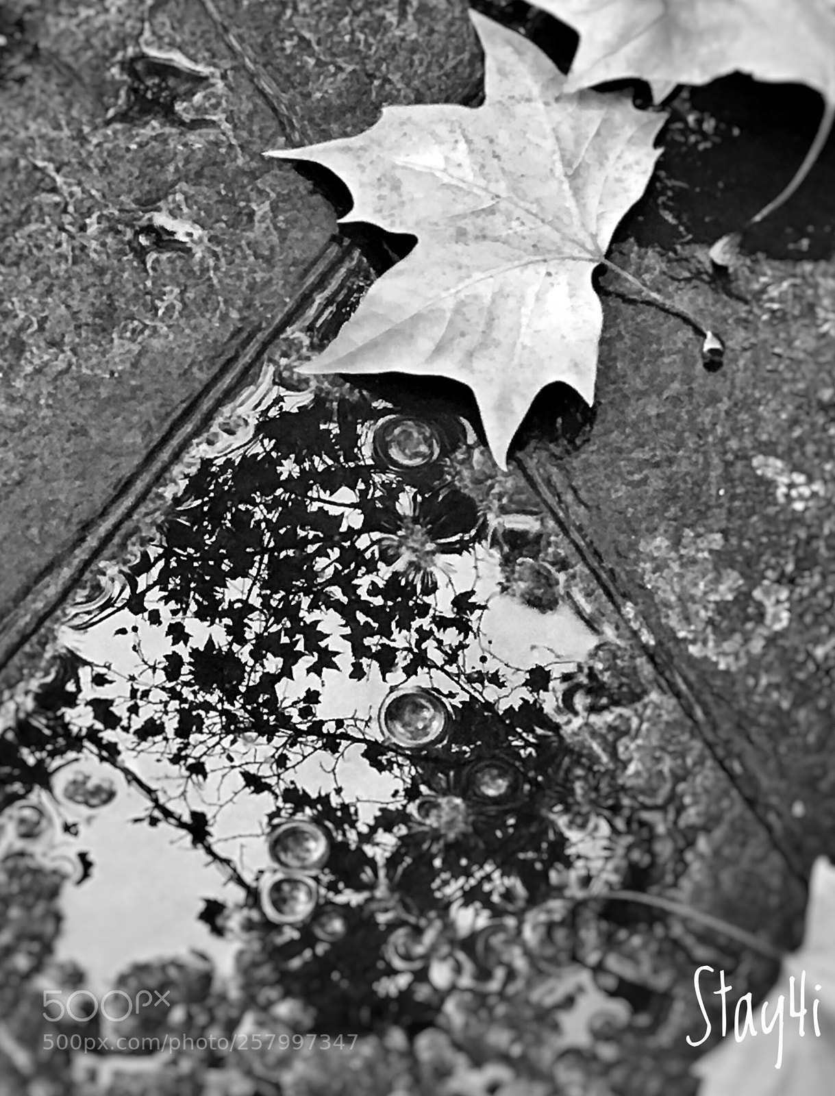 Apple iPhone 7 Plus sample photo. Espejos, reflejos....:) photography