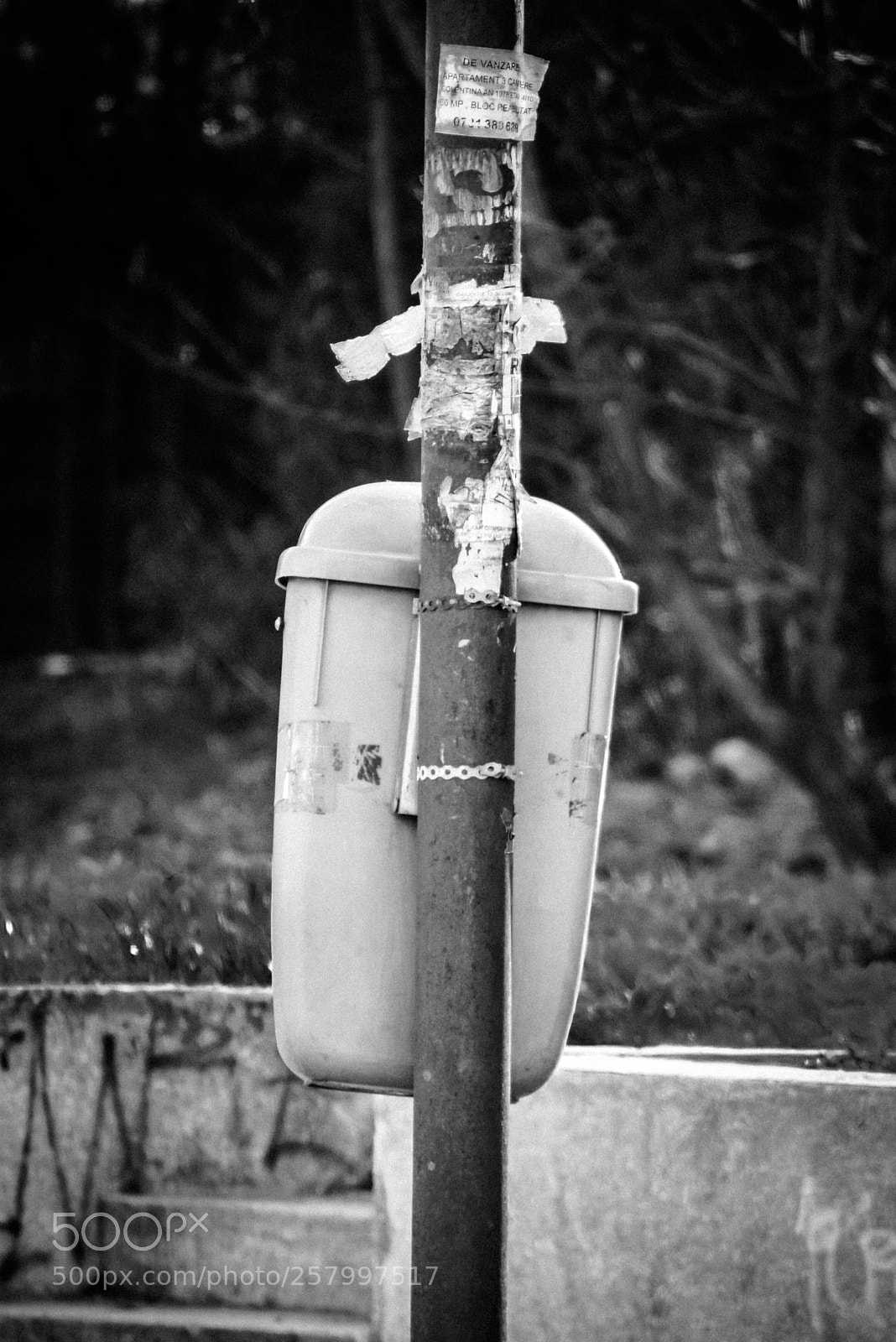 Nikon D5300 sample photo. _dsc1304-1.jpg photography
