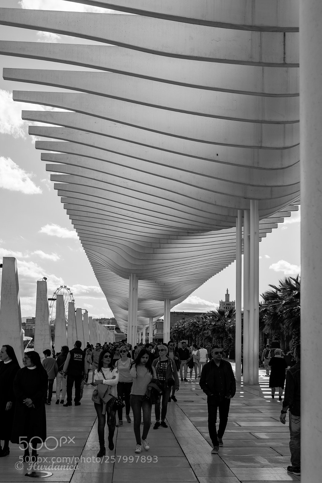 Nikon D5300 sample photo. Walking along photography