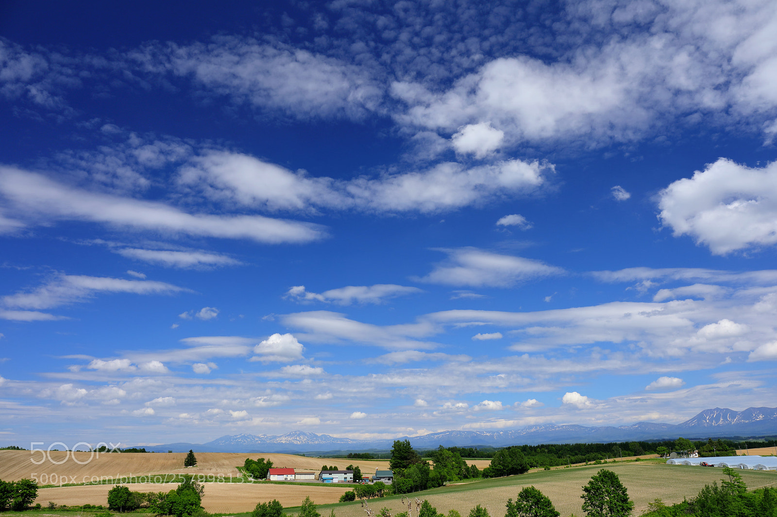 Canon EOS 5D Mark IV sample photo. Hokkaido photography