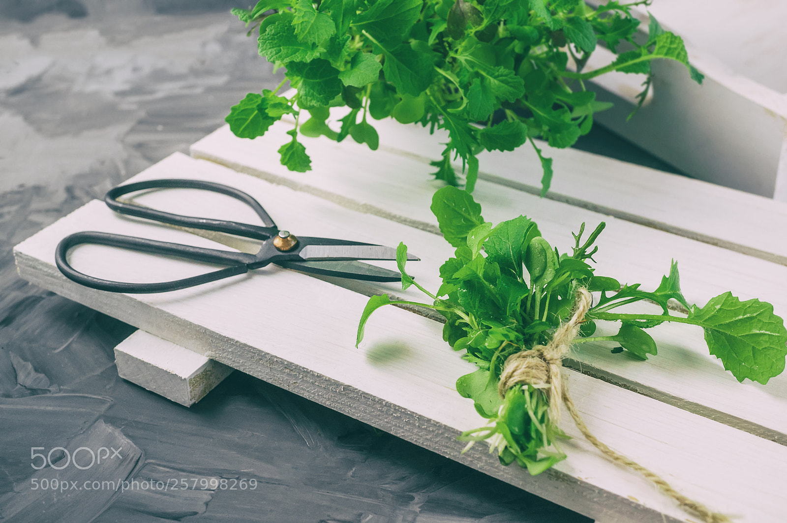 Sony Alpha NEX-6 sample photo. Fresh salad with large photography
