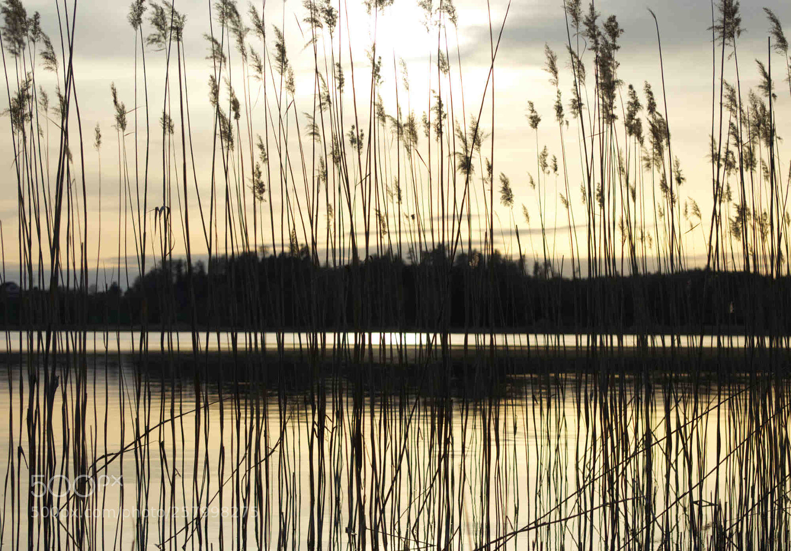 Nikon D5100 sample photo. The golden hour photography