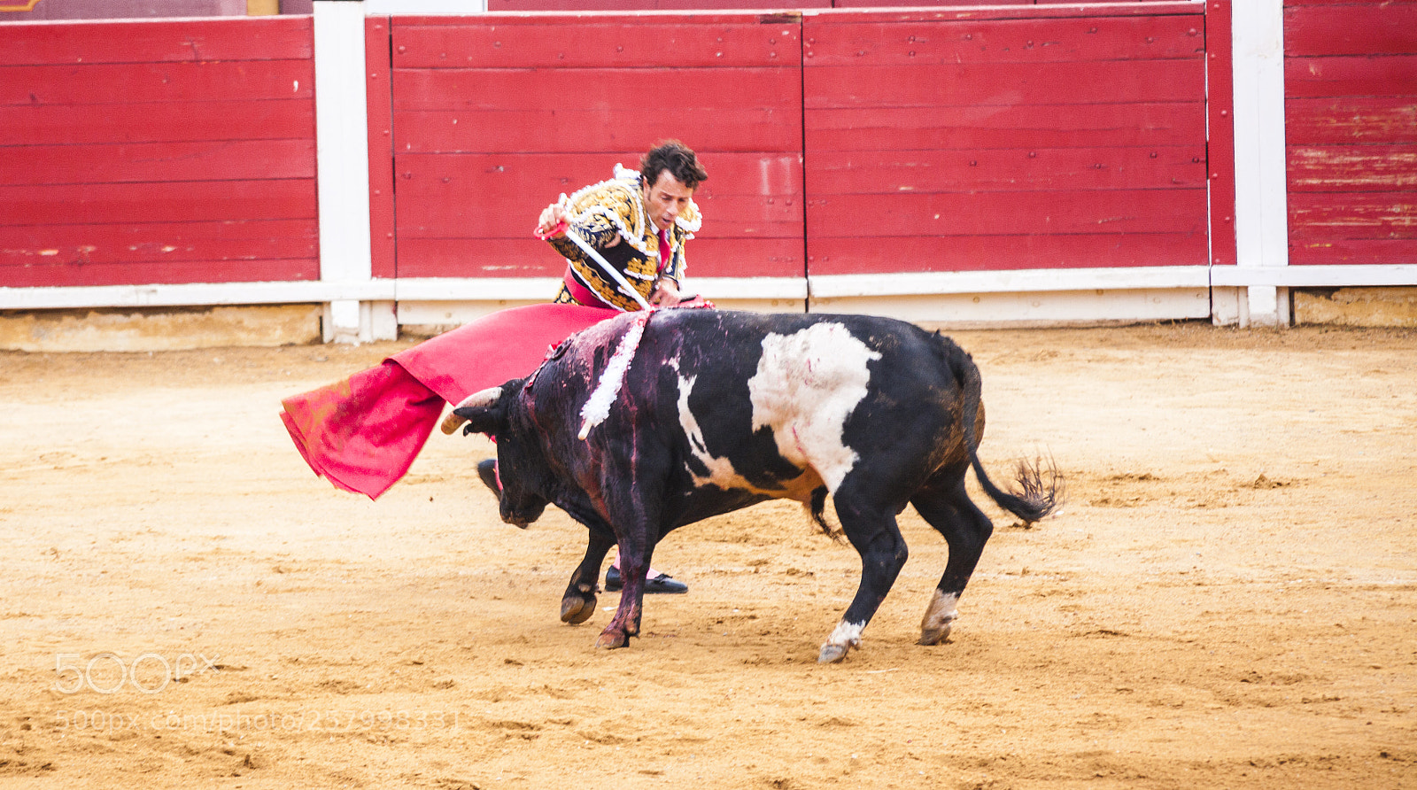 Canon EOS 5D Mark II sample photo. The fight of a photography