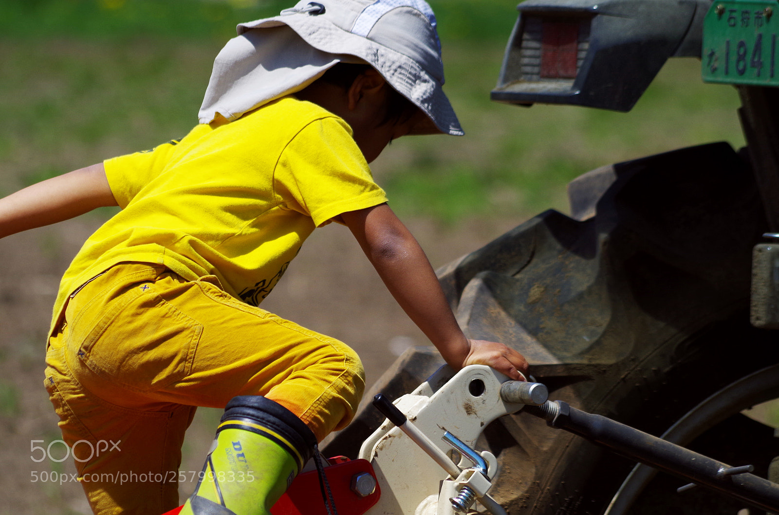 Pentax K-50 sample photo. Healthy! photography