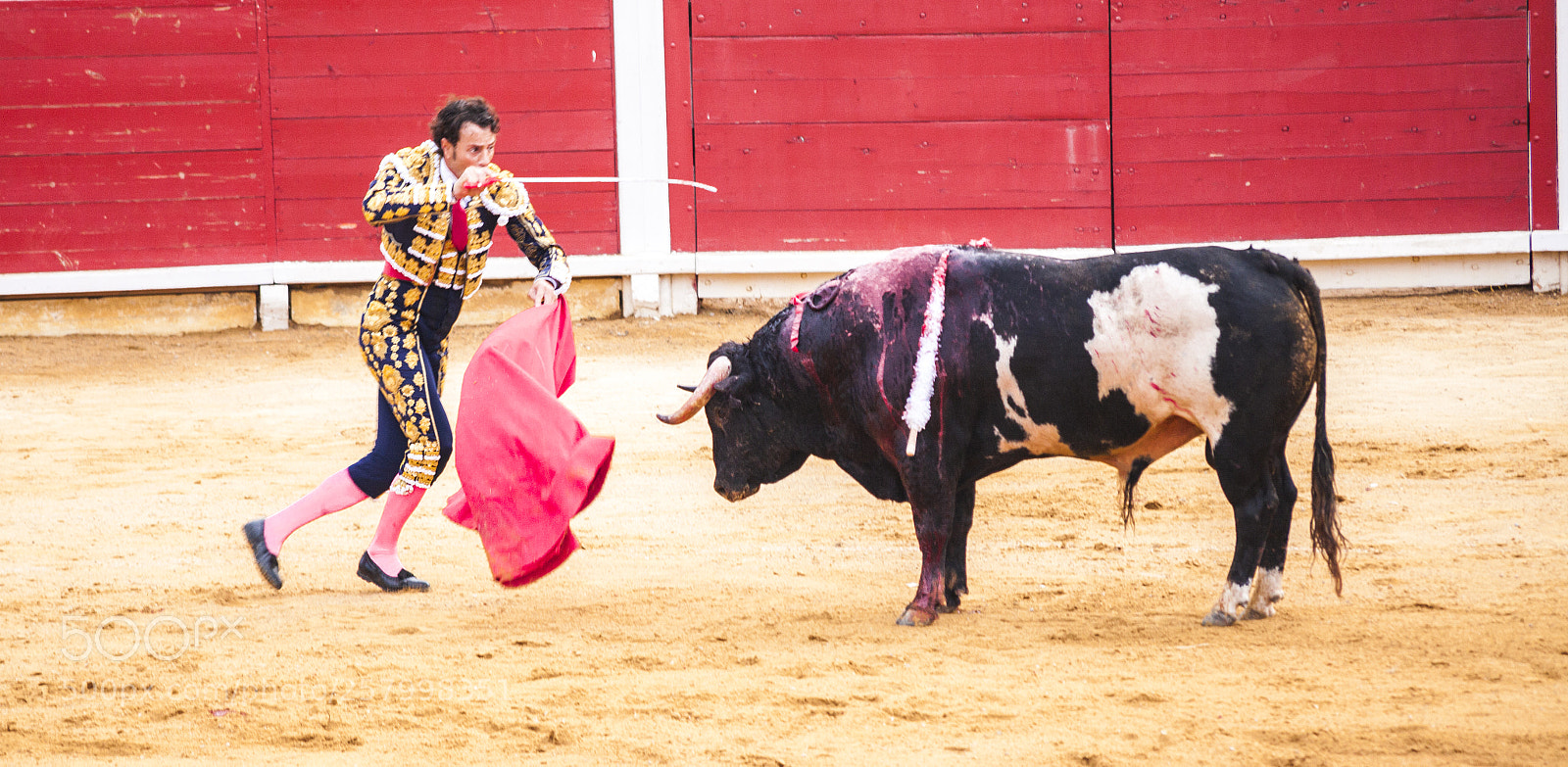 Canon EOS 5D Mark II sample photo. The fight of a photography