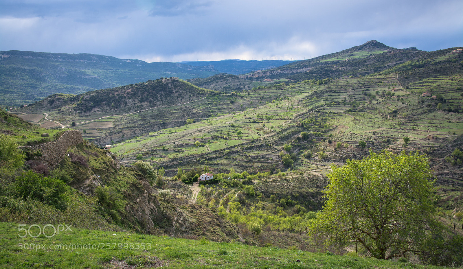 Nikon D7100 sample photo. Morella photography