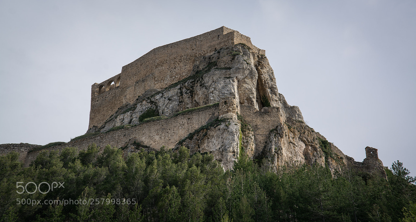 Nikon D7100 sample photo. Morella photography