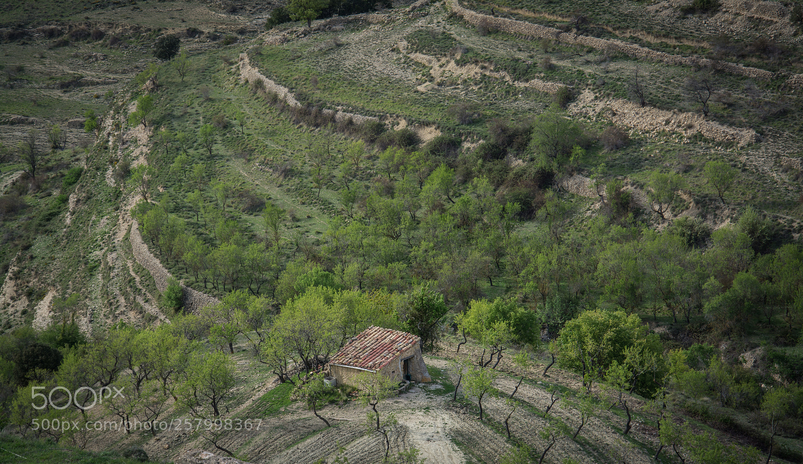 Nikon D7100 sample photo. Morella photography