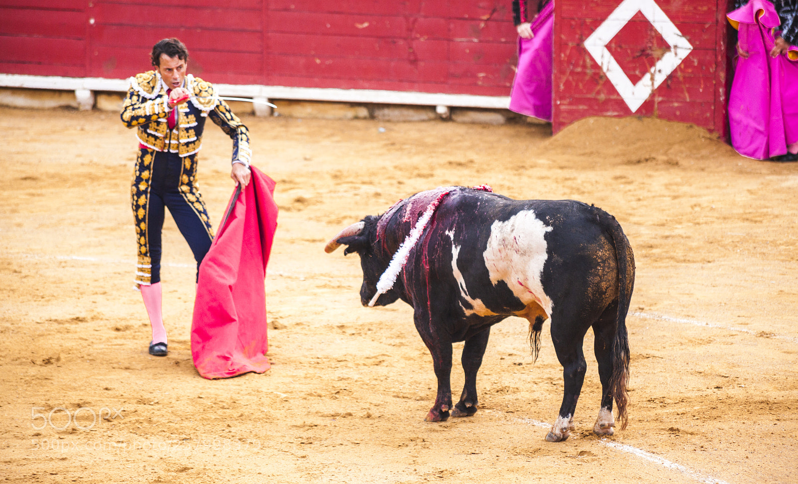 Canon EOS 5D Mark II sample photo. The fight of a photography