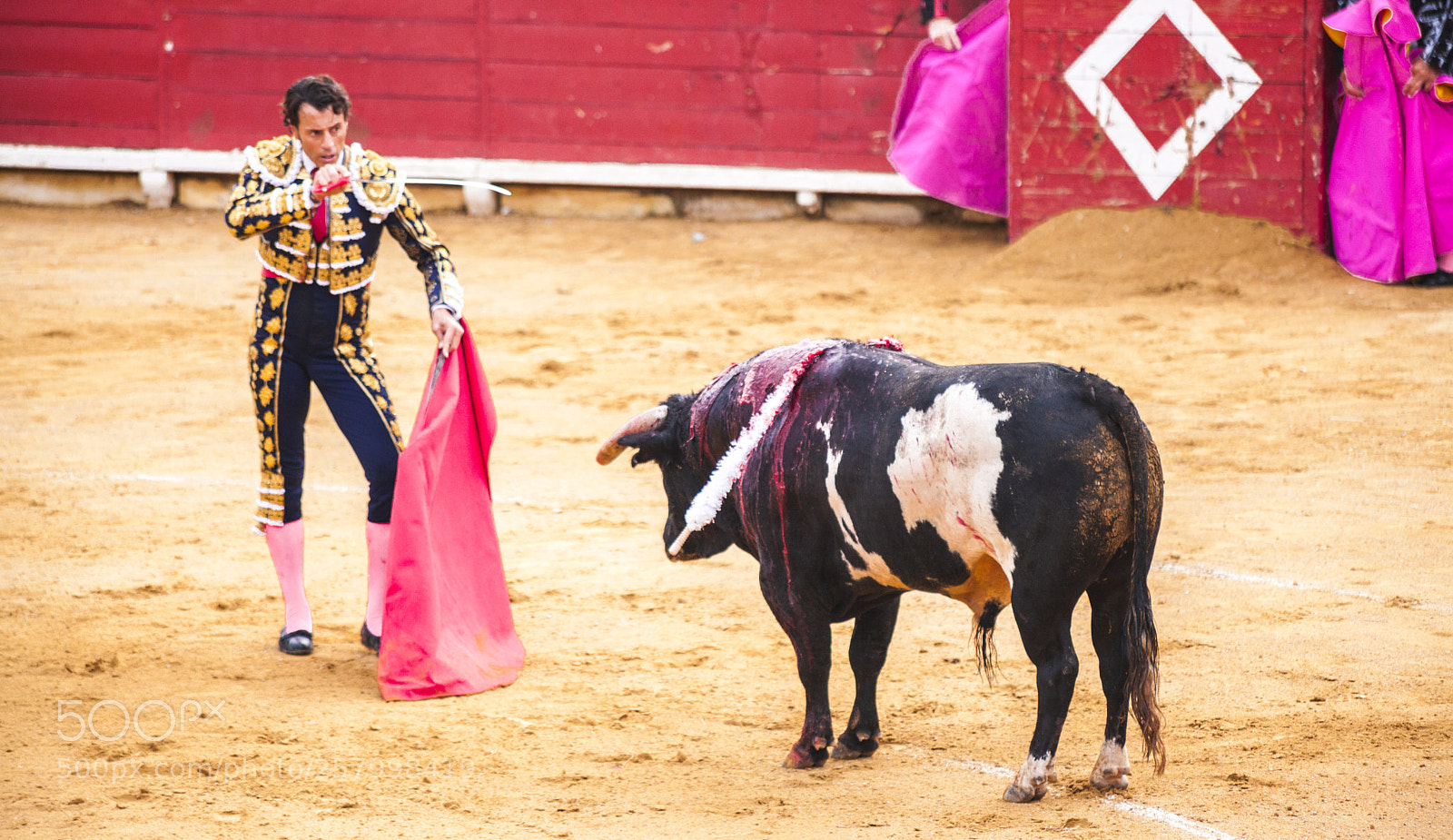 Canon EOS 5D Mark II sample photo. The fight of a photography