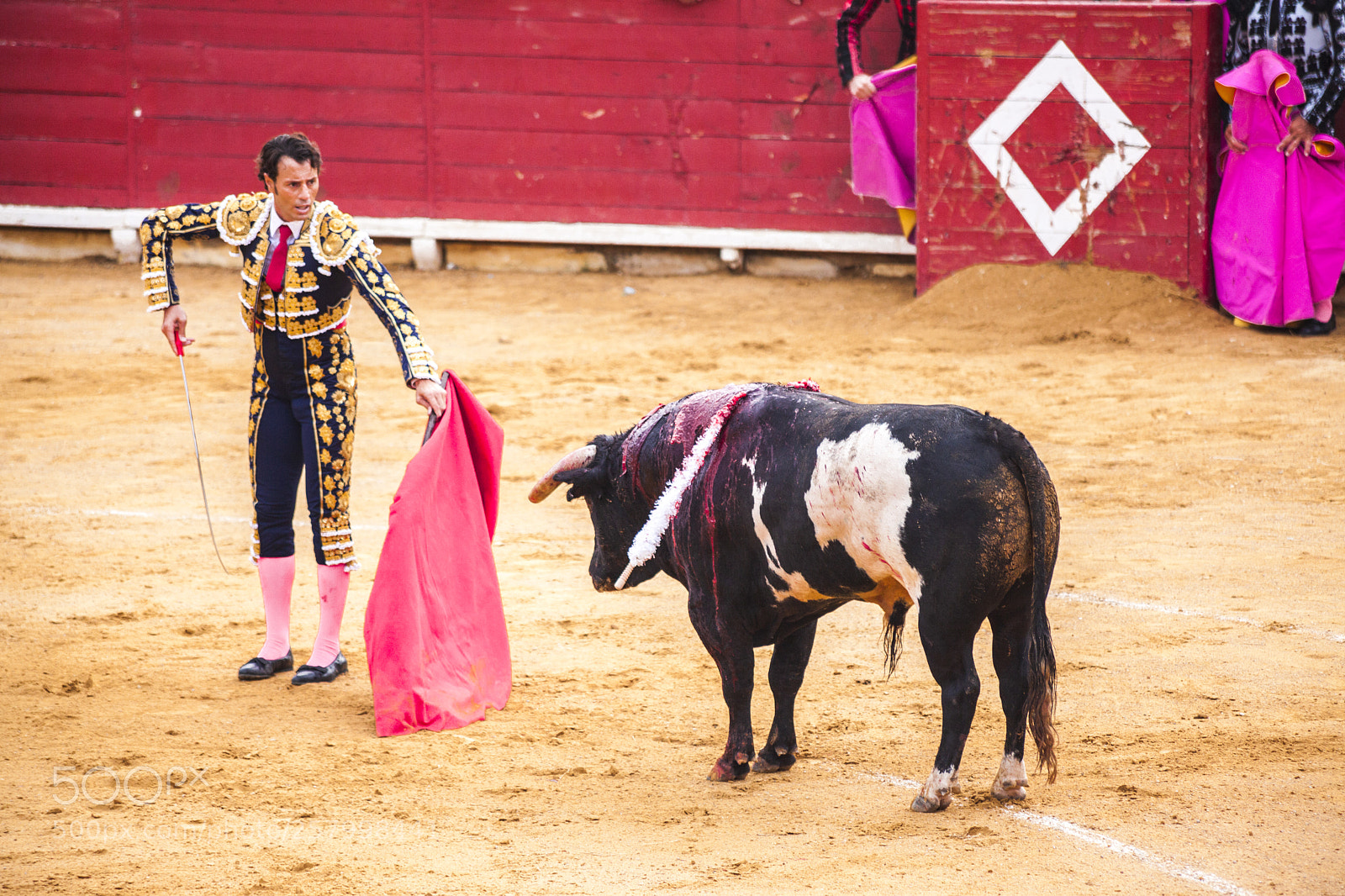Canon EOS 5D Mark II sample photo. The fight of a photography