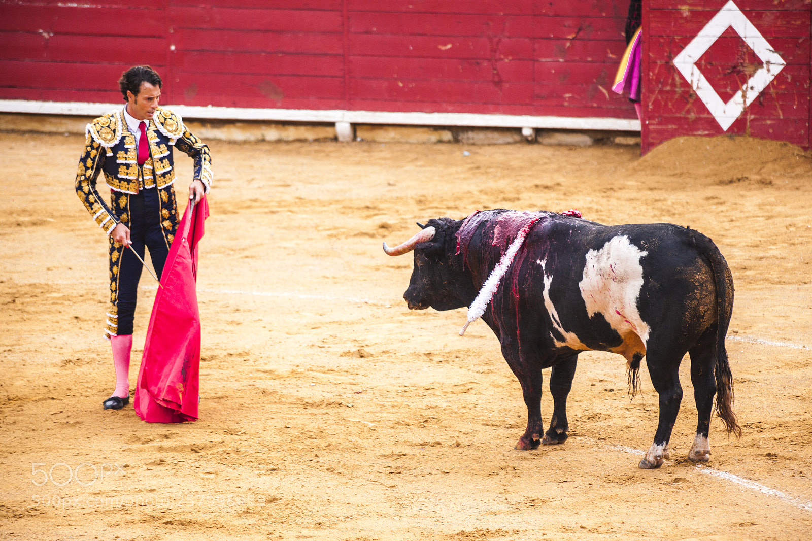 Canon EOS 5D Mark II sample photo. The fight of a photography