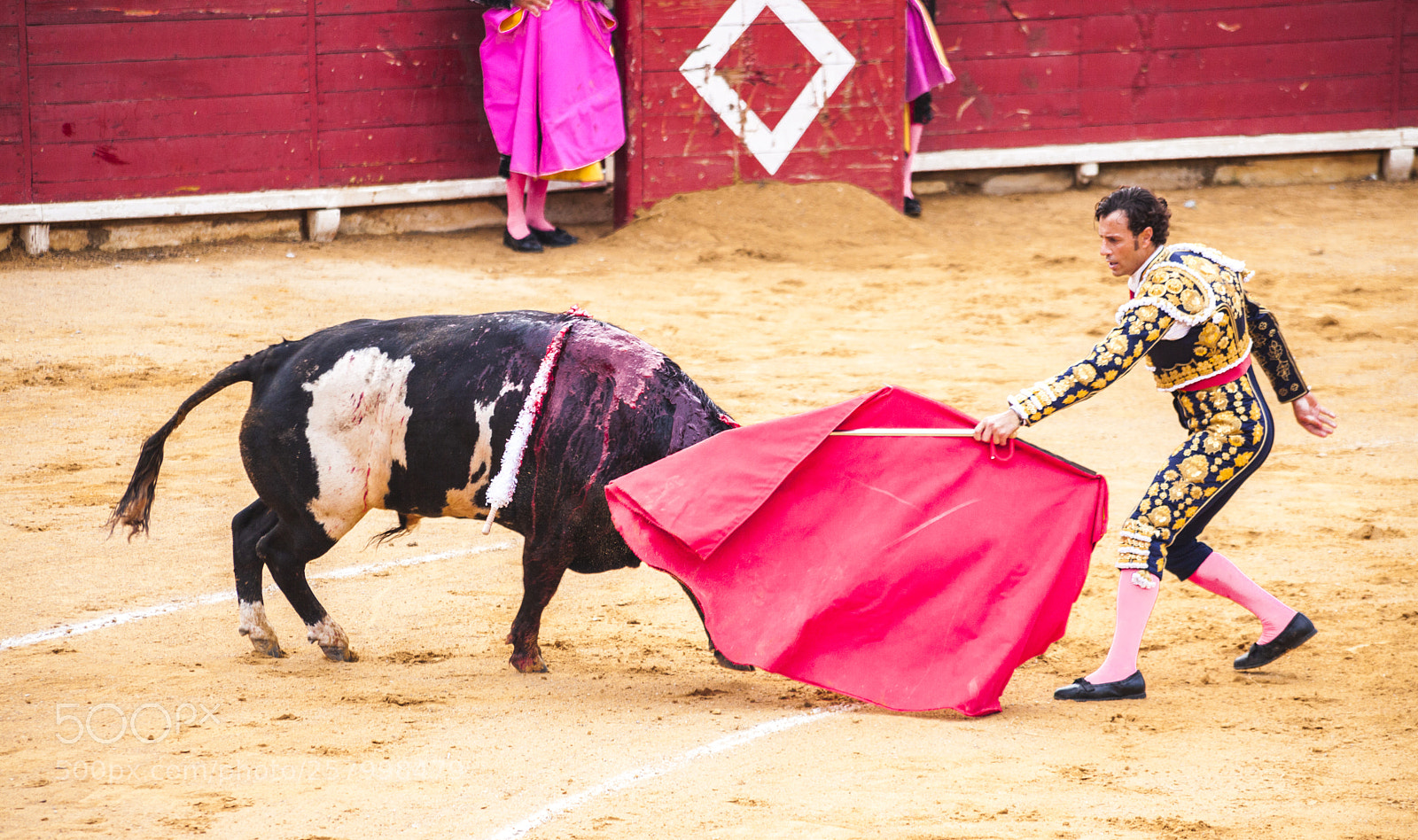 Canon EOS 5D Mark II sample photo. The fight of a photography