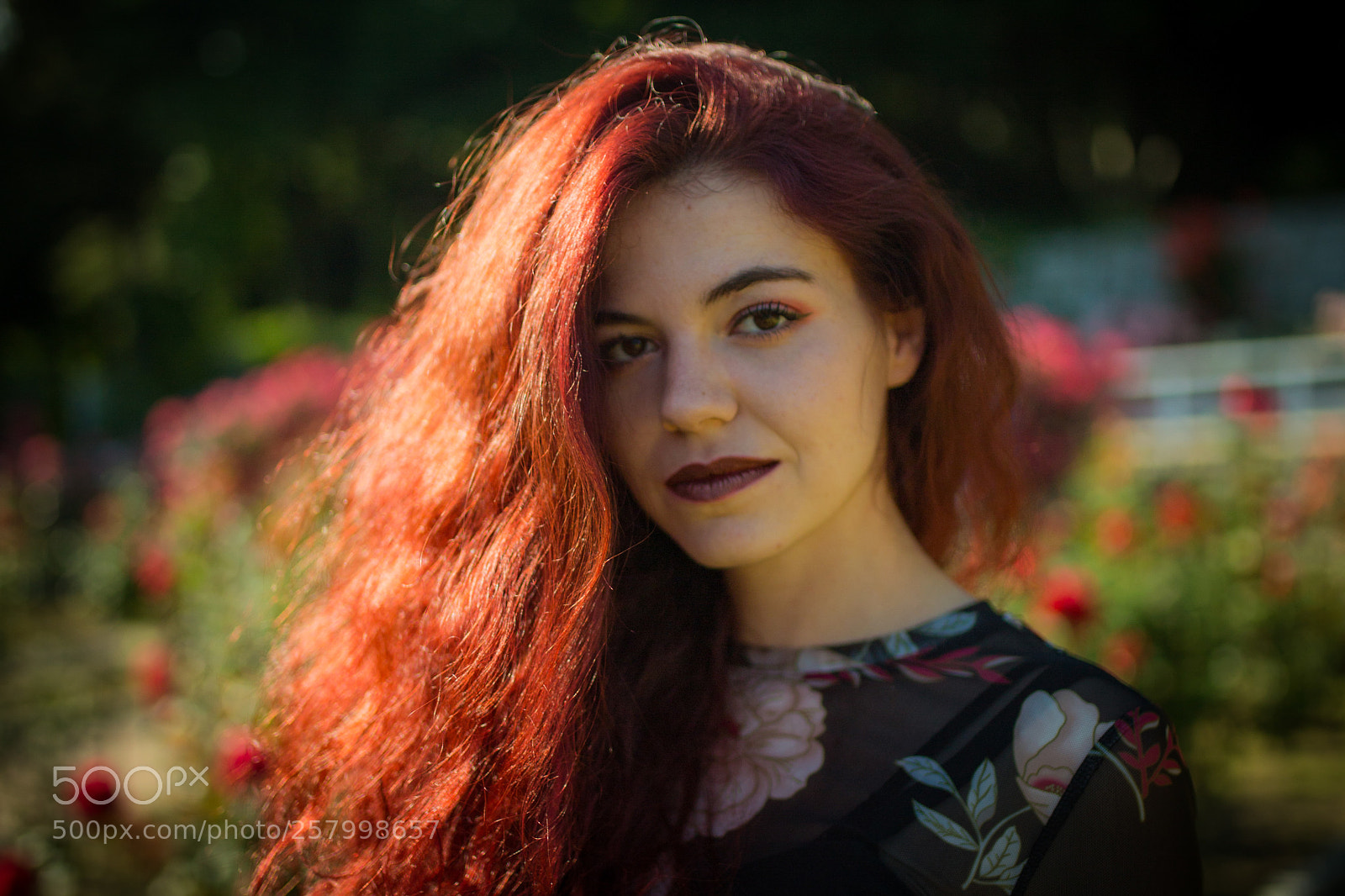 Canon EOS 6D sample photo. Untitled photography