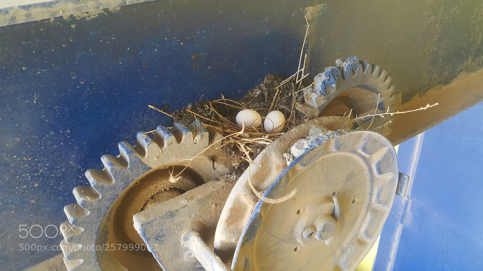 Samsung Galaxy Note4 sample photo. The dove nest photography