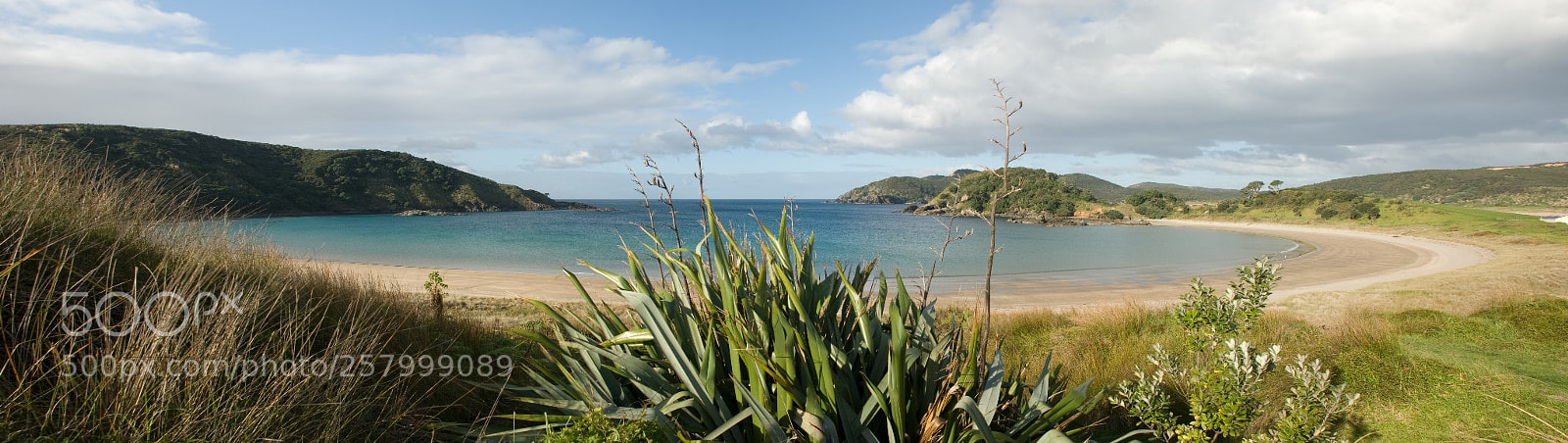 Nikon D80 sample photo. Matai bay, northland,nz photography
