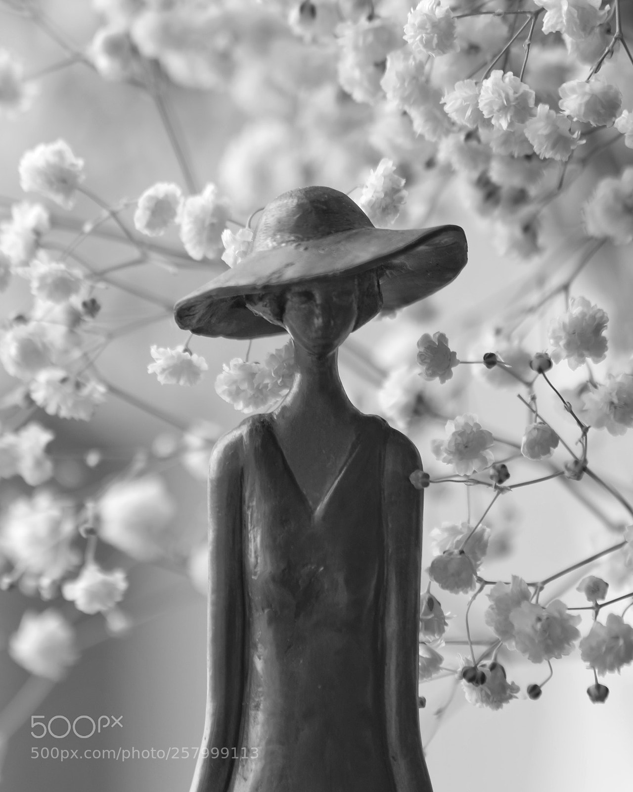 Canon EOS 5D Mark IV sample photo. Still life photography
