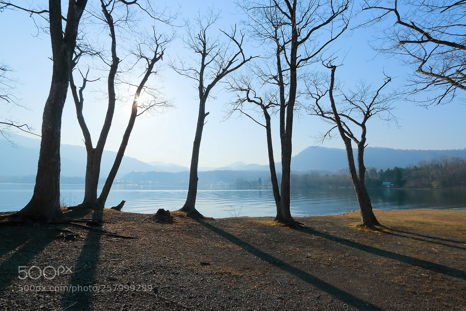 Canon EOS 70D sample photo. Transparent blue iii photography
