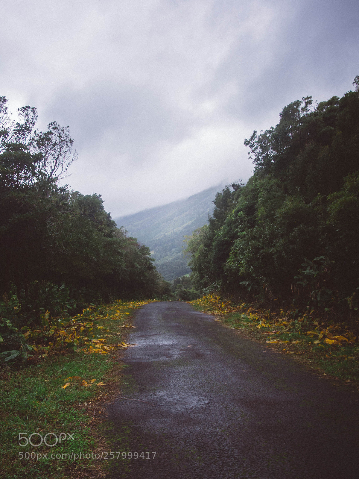 Olympus OM-D E-M10 sample photo. Pico island photography