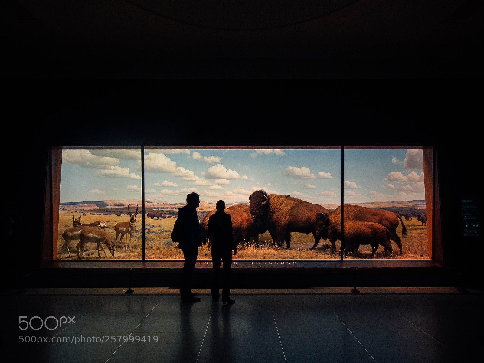 Olympus OM-D E-M10 sample photo. Museum photography