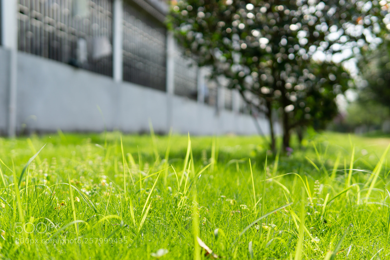 Sony a6000 sample photo. Dsc photography