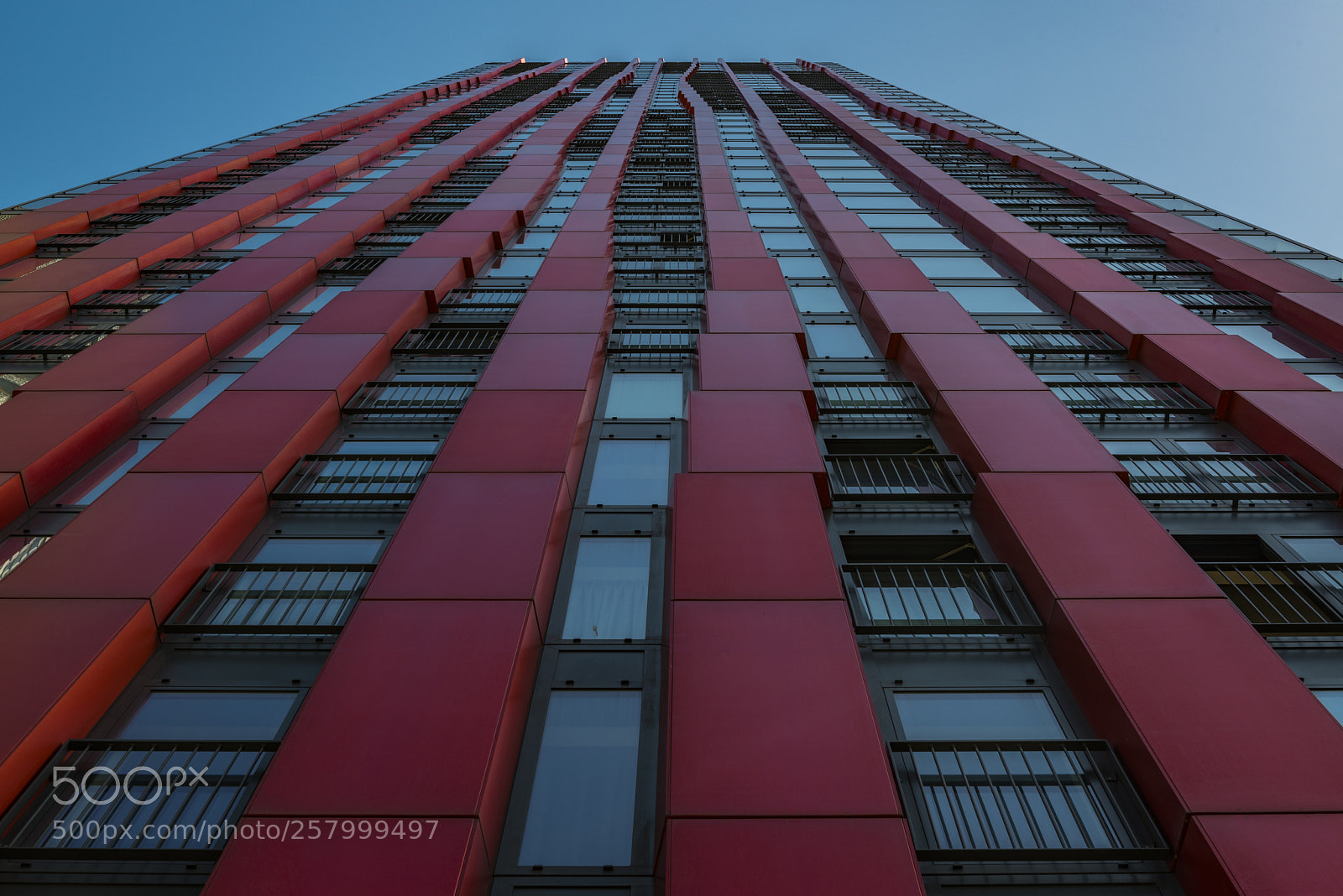 Nikon D800 sample photo. Red & blue photography
