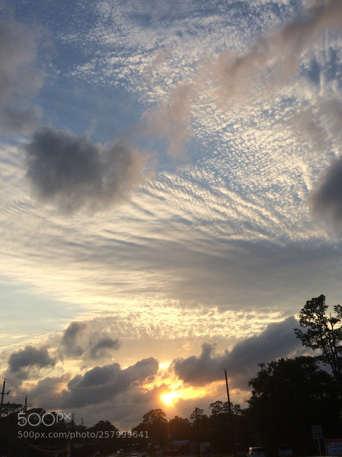Apple iPhone 5s sample photo. Fluffy sun photography