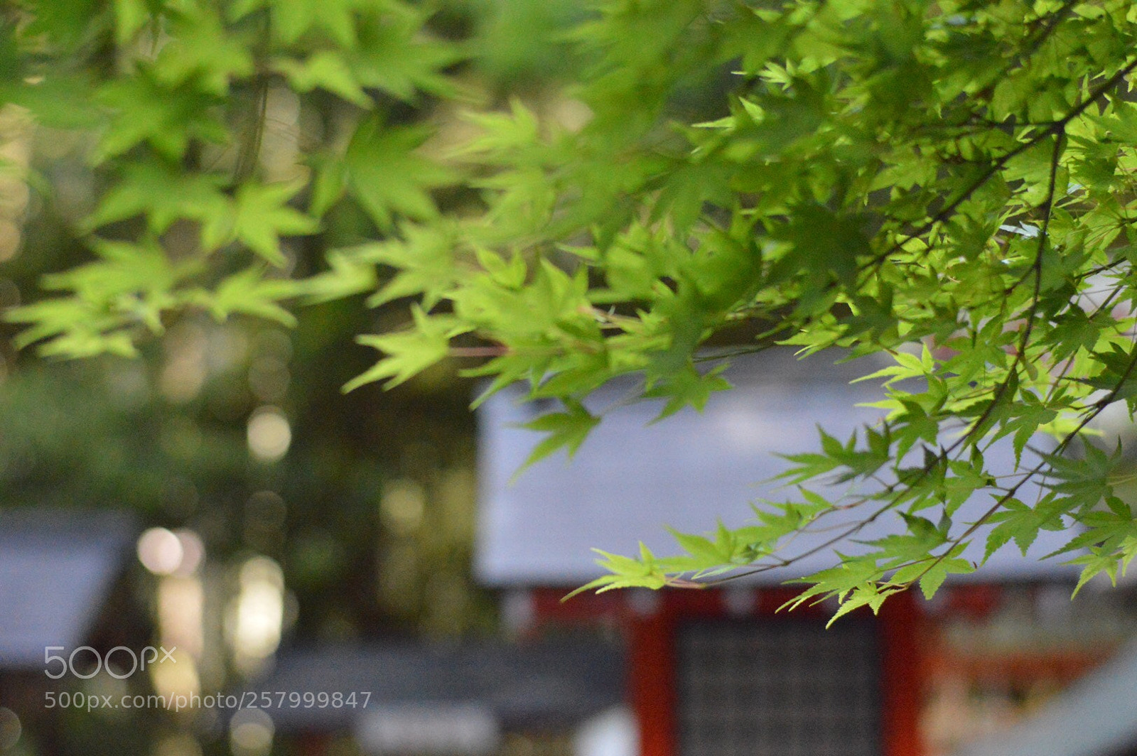 Nikon D3200 sample photo. Untitled photography