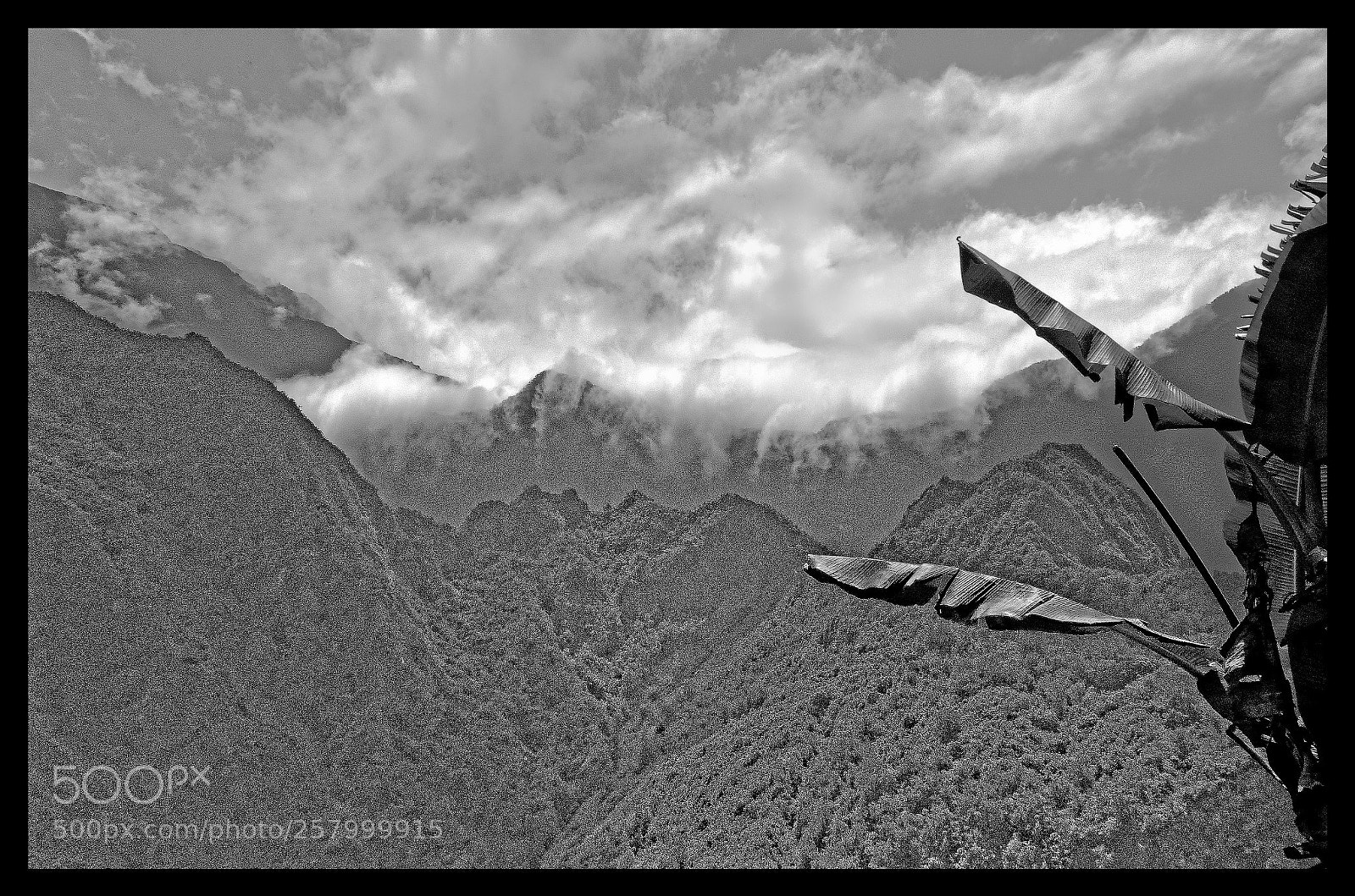 Nikon D7000 sample photo. Cirque de saazie photography