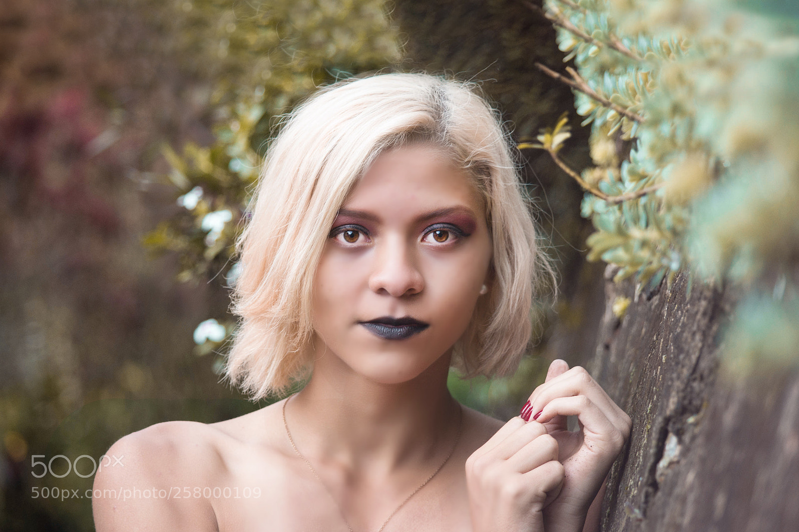 Nikon D3100 sample photo. The world of alice photography