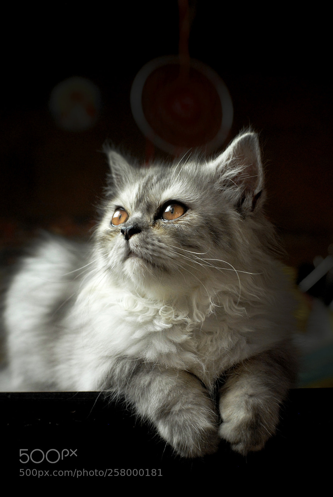 Nikon D200 sample photo. Its a good day ! photography